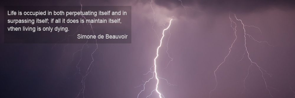 Life is occupied in both perpetuating itself and in surpassing itself; if all it does is maintain itself, then living is only dying. 
Simone de Beauvoir